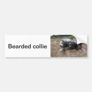 Autocollant De Voiture colley barbu