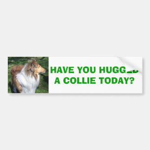 AUTOCOLLANT DE VOITURE COLLIE, AS-TU HUGGÉ UN COLLIE AUJOURD'HUI ?