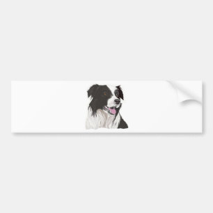 Autocollant De Voiture Collie noire et blanche avec les yeux Brown