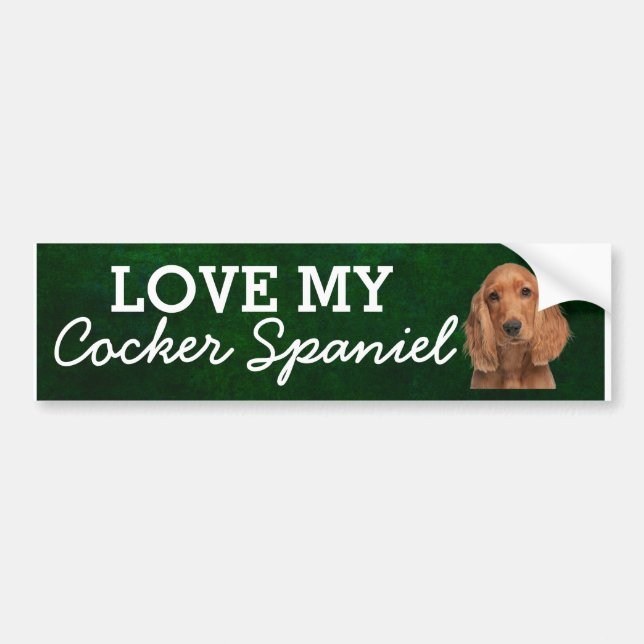 Autocollant De Voiture Collier de pare-chocs Spaniel Cocker (Devant)