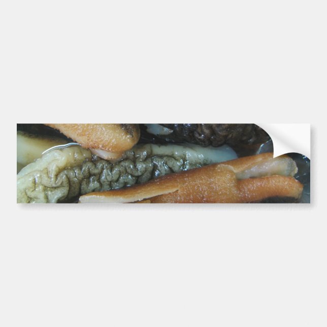Autocollant De Voiture Concombre de mer ... Nourriture du marché du Yaowa (Devant)