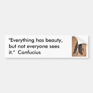 Autocollant De Voiture Confucius 1