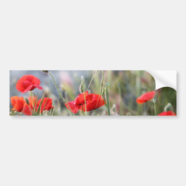 Autocollant De Voiture coquelicot (Devant)