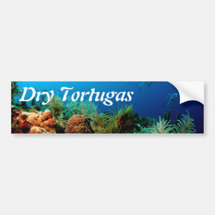 Autocollant De Voiture Coral Reef, Dry Tortugas National Park, Floride
