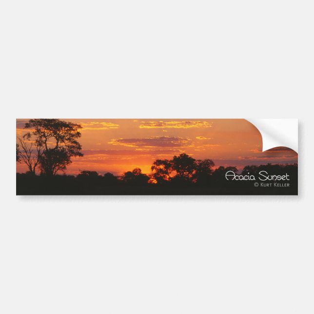 Autocollant De Voiture Coucher de soleil Acacia (Devant)