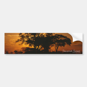 Autocollant De Voiture Coucher de soleil de Savannah