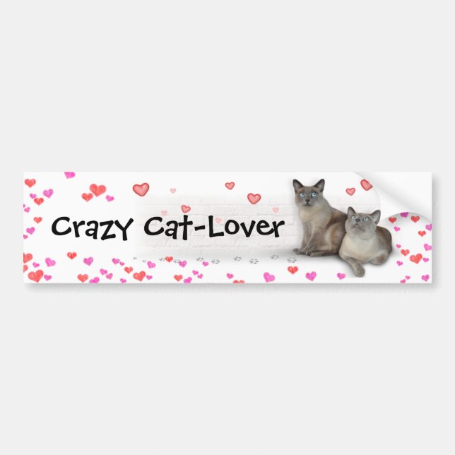 Autocollant De Voiture Crazy Cat-Lover (Devant)