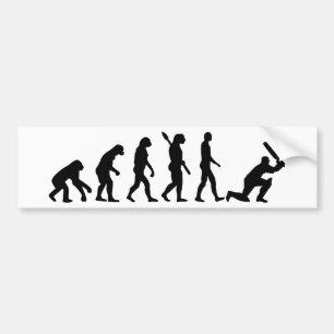Autocollant De Voiture Cricket d'évolution