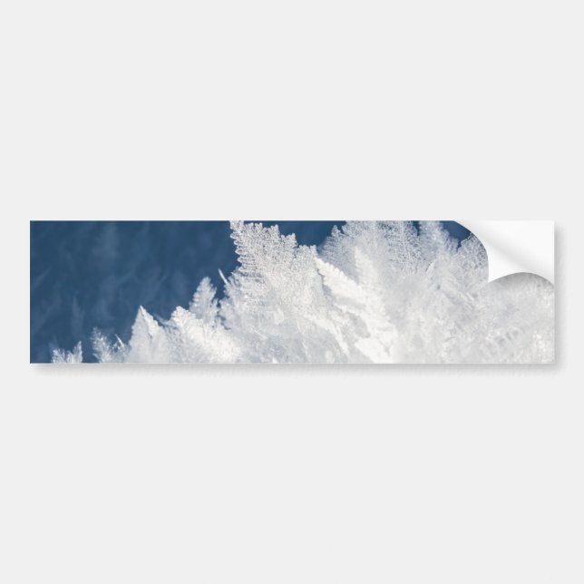 Autocollant De Voiture Cristaux de glace d'hiver (Devant)