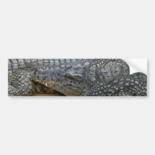 Autocollant De Voiture Crocodile