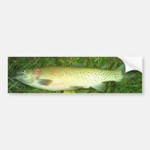 Autocollant De Voiture "cut throat trout" trout, fly, fishing