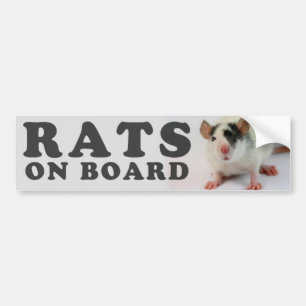 Autocollant De Voiture (Cute) Rats on board