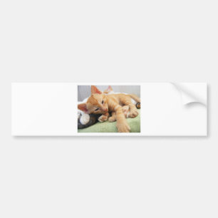 Autocollant De Voiture Cute Tiger Stripe Kitten