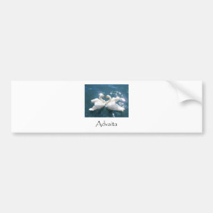 Autocollant De Voiture Cygnes d'Advaita