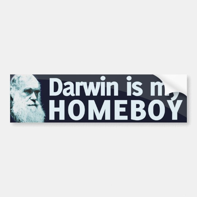 Autocollant De Voiture Darwin est mon Homeboy (Devant)