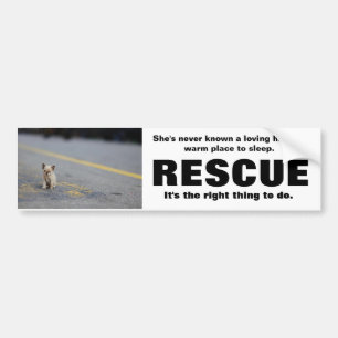 AUTOCOLLANT DE VOITURE DÉLIVRANCE ANIMALE BUMPERSTICKER