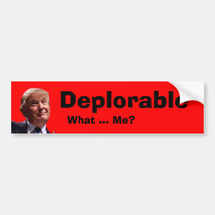 Autocollant De Voiture Déplorable Ce Sticker De Bumper