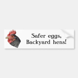 Autocollant De Voiture Des oeufs plus sûrs, poules de jardin ! - Adhésif
