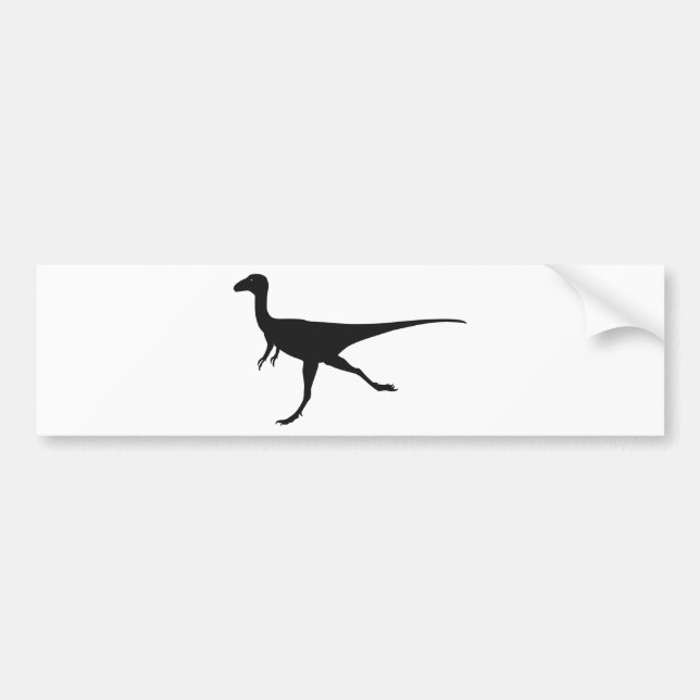 Autocollant De Voiture dinosaures (Devant)