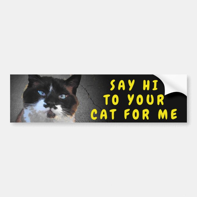 Autocollant De Voiture Dites Bonjour À Votre Sticker À Mème De Chat (Devant)