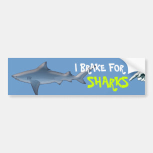 Autocollant De Voiture Donnez une pause aux requins