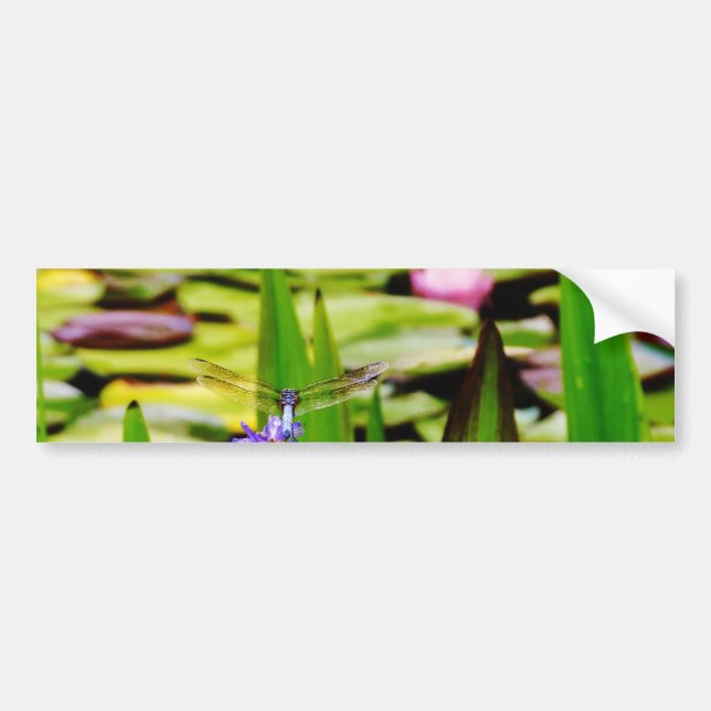 Autocollant De Voiture Dragonfly lotus and purple flower (Devant)