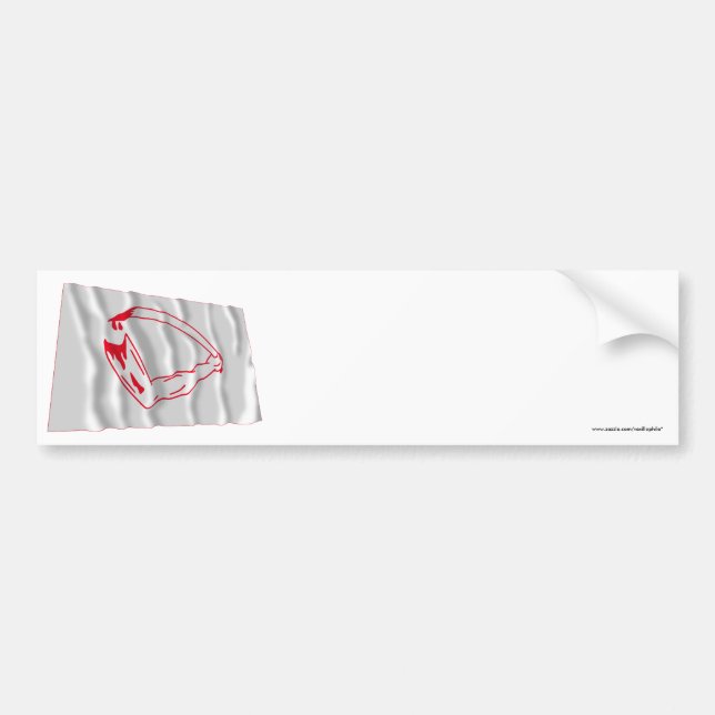 Autocollant De Voiture Drapeau de Goliad (Devant)