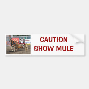 AUTOCOLLANT DE VOITURE DSC_0007, MULE DE CAUTIONSHOW
