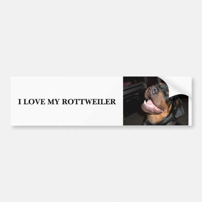 AUTOCOLLANT DE VOITURE DSCF0313, J'AIME MON ROTTWEILER (Devant)