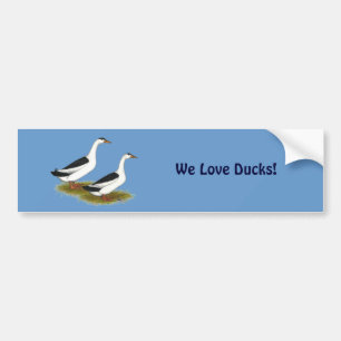 Autocollant De Voiture Ducks : Black Magpies