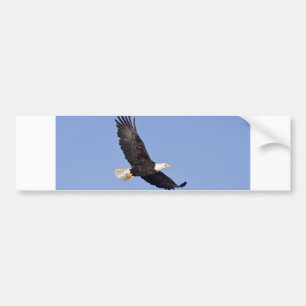 Autocollant De Voiture Eagle chauve américain