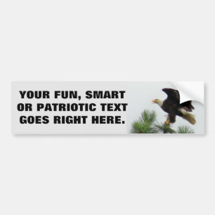 Autocollant De Voiture Eagle chauve nord-américain avec votre expression