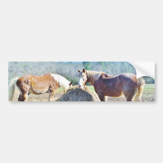 Autocollant De Voiture Ébauche secourue Chevaux mangeant foin (Devant)