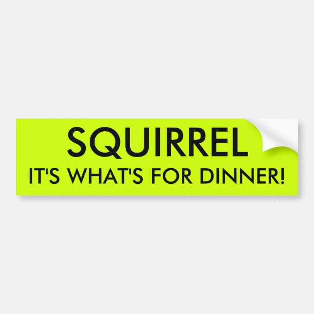Autocollant De Voiture ÉCUREUIL IL est CE QUI EST POUR LE DÎNER ! (Devant)