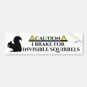 Autocollant De Voiture Écureuil invisible