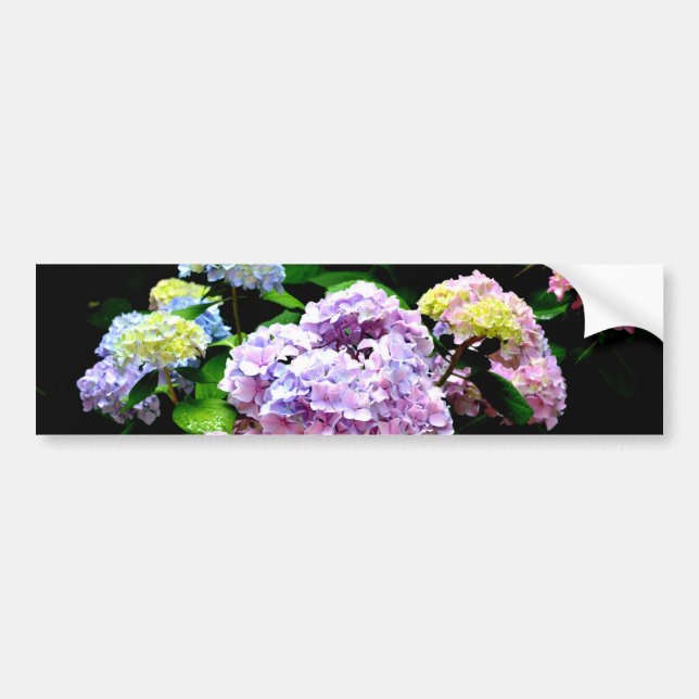Autocollant De Voiture Elégant jardin rose violet bleu hydrangée fleurie (Devant)