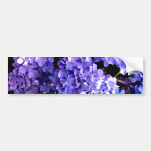 Autocollant De Voiture Elégante fleurs florales violettes profondes hydra