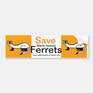 Autocollant De Voiture Enregistrer les FERRETS à pieds noirs - autocollan