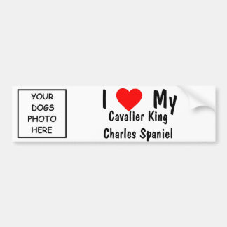 Autocollant De Voiture Épagneul cavalier du Roi Charles