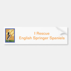 Autocollant De Voiture Épagneul de springer anglais
