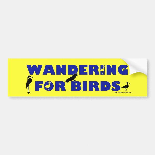 Autocollant De Voiture Errer pour des oiseaux (Devant)