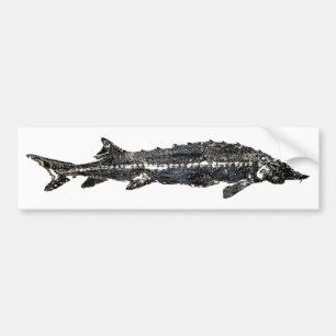Autocollant De Voiture Esturgeon blanc Gyotaku-40-Item