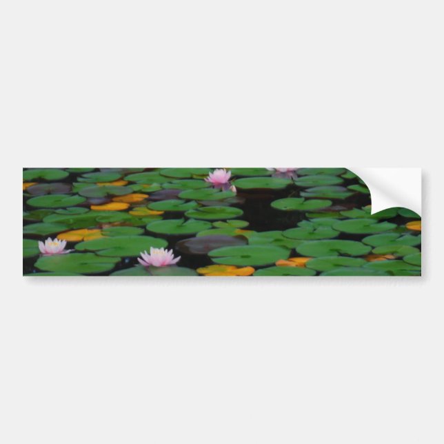 Autocollant De Voiture Etang de fleurs de lys d'eau rose (Devant)