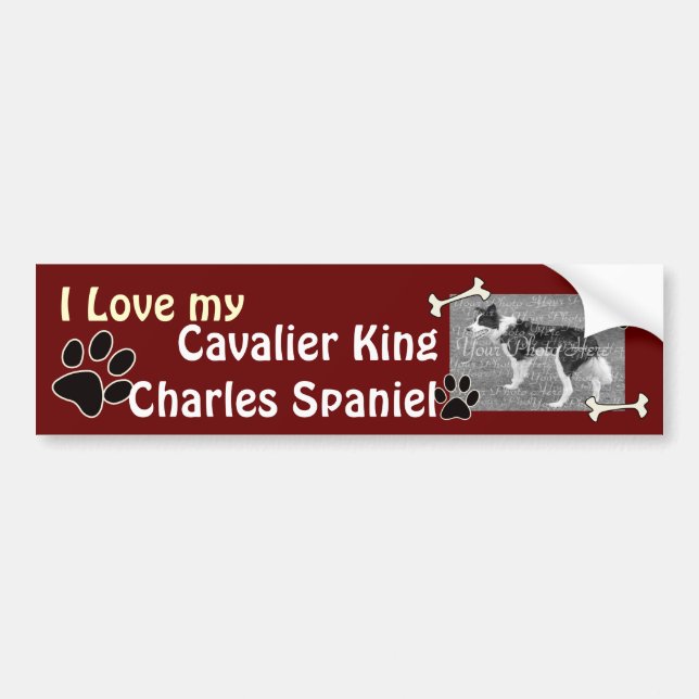 Autocollant De Voiture Étiquette de pare-chocs du roi Charles Spaniel (Devant)