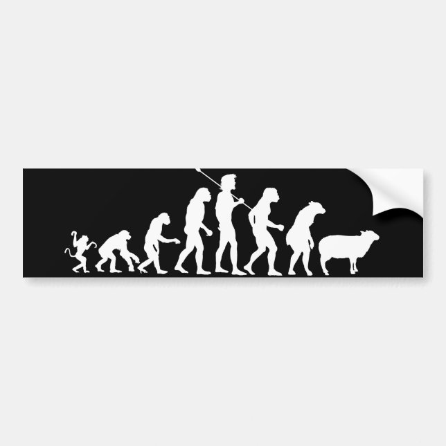 Autocollant De Voiture Évolution de l'adhésif pour pare-chocs des masses (Devant)