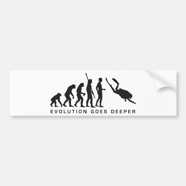 Autocollant De Voiture evolution divine (Devant)