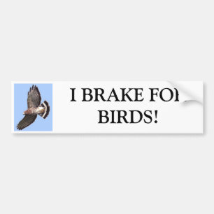 Autocollant De Voiture Faucon, JE FREINE FORBIRDS !