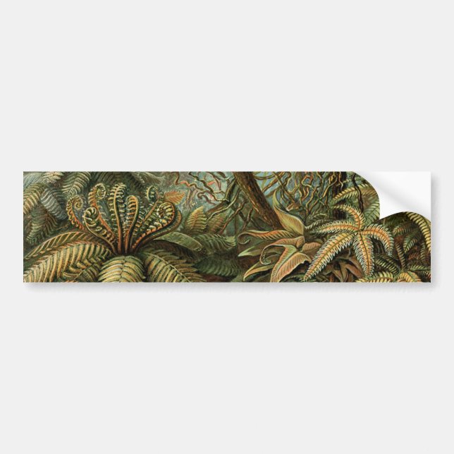 Autocollant De Voiture Ferns Palm Tree Antiquité Botanique Ferns Art (Devant)