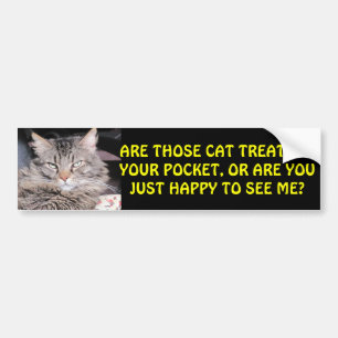 Autocollant De Voiture Festins de chat dans votre poche ? MEME
