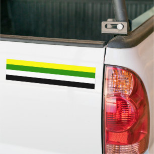 Autocollant De Voiture Fierté Skoliosexuelle